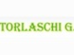logo_TORLASCHI