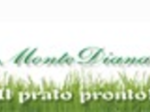 logo_Monte Diana