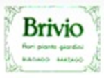 logo_AZIENDA AGRICOLA FLOROVIVAISTICA BRIVIO
