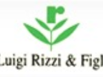 logo_RIZZI LUIGI & FIGLI