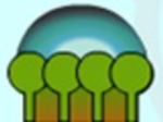 logo_Vivai Piante Angori