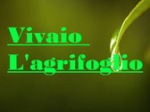 logo_Vivaio L'Agrifoglio