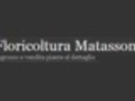 logo_FLORICOLTURA MATASSONI