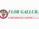 logo_FLOR GALLURA