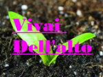logo_Vivai Dell'alto