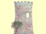 logo_VIVAI TORRE