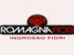 logo_ROMAGNA FIORI