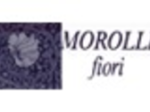 logo_MOROLLI FIORI