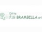 logo_F.LLI BRAMBILLA S.R.L.