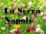logo_La Serra - Napoli
