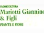 logo_FLORICOLTURA MARIOTTI GIANNINO & FIGLI