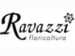 logo_RAVAZZI FIORI