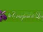 logo_LE CREAZIONI DI LORY