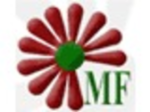 logo_MANCINI FIORI