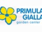 logo_PRIMULA GIALLA