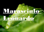logo_Marasciulo Leonardo