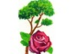 logo_Artigiardinaggio Srls