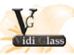 logo_VIDIGLASS