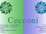 logo_Cecconi Srl