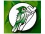 logo_Il Picchio Verde