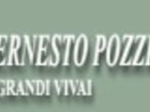 logo_Ernesto Pozzi Grandi Vivai