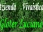 logo_Azienda Vivaistica Gloter