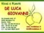 logo_Vivai E Piante De Luca Giovanni