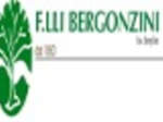 logo_F.lli Bergonzini