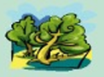 logo_Vivai Baldi