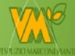 logo_Vespuzio Marconi Piante