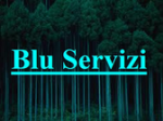 logo_Blu Servizi