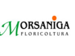logo_Floricoltura Morsaniga