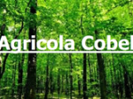 logo_Agricola Cobel