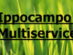 logo_Ippocampo Multiservice
