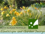 logo_Glauco Pertoldi