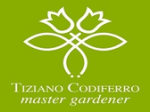 logo_Tiziano Codiferro