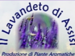 logo_Il Lavandeto