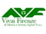 logo_Avf