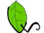 logo_Walter Giardini