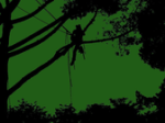 logo_Arboria Tree, potature e abbattimenti alberi