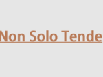logo_Non Solo Tende