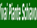 logo_Vivai Piante Schiavon Giuseppina