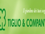 logo_Tiglio And Company