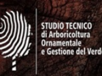 logo_Studio Tecnico Di Arboricoltura Ornamentale  E Gestione Del Verde