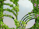 logo_Pellegrini Giardini - Civitanova Marche