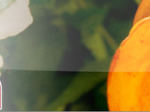 logo_Fioridea Di Caracci Luisa