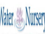 logo_Water Nursery