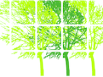 logo_Emiliano Nesi Giardini