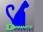 logo_Diamante Servizi