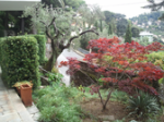 logo_Eddie' S Garden